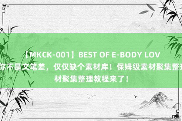 【MKCK-001】BEST OF E-BODY LOVERS 2008 你不是文笔差，仅仅缺个素材库！保姆级素材聚集整理教程来了！