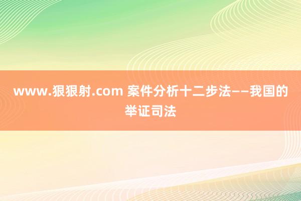 www.狠狠射.com 案件分析十二步法——我国的举证司法