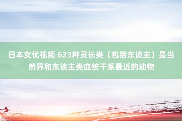 日本女优视频 623种灵长类（包括东谈主）是当然界和东谈主类血统干系最近的动物