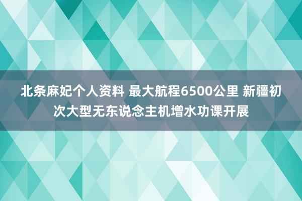 北条麻妃个人资料 最大航程6500公里 新疆初次大型无东说念主机增水功课开展