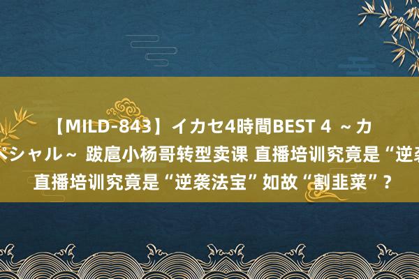 【MILD-843】イカセ4時間BEST 4 ～カリスマアイドル限定スペシャル～ 跋扈小杨哥转型卖课 直播培训究竟是“逆袭法宝”如故“割韭菜”？