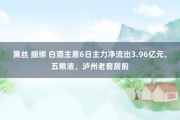 黑丝 捆绑 白酒主意6日主力净流出3.96亿元，五粮液、泸州老窖居前