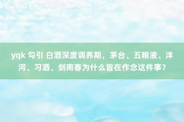 yqk 勾引 白酒深度调养期，茅台、五粮液、洋河、习酒、剑南春为什么皆在作念这件事？