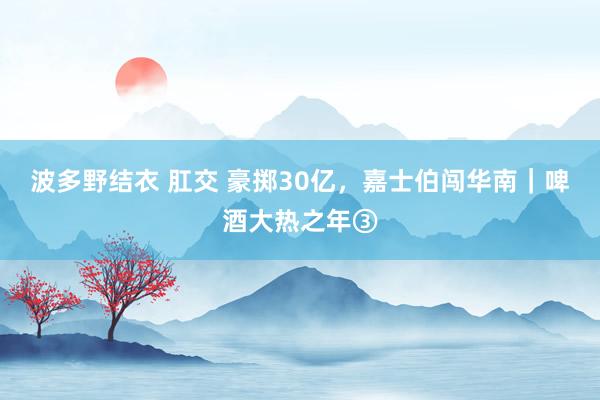 波多野结衣 肛交 豪掷30亿，嘉士伯闯华南｜啤酒大热之年③