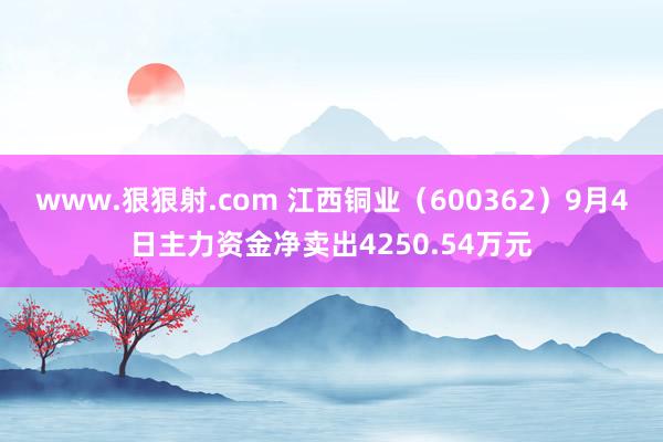 www.狠狠射.com 江西铜业（600362）9月4日主力资金净卖出4250.54万元