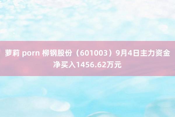 萝莉 porn 柳钢股份（601003）9月4日主力资金净买入1456.62万元