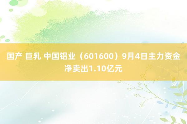 国产 巨乳 中国铝业（601600）9月4日主力资金净卖出1.10亿元