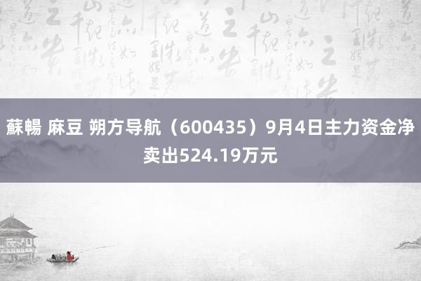 蘇暢 麻豆 朔方导航（600435）9月4日主力资金净卖出524.19万元