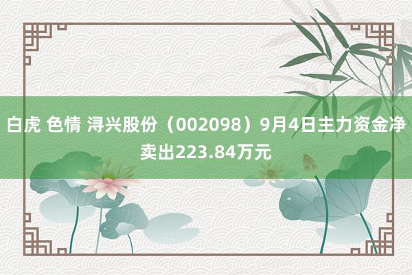 白虎 色情 浔兴股份（002098）9月4日主力资金净卖出223.84万元