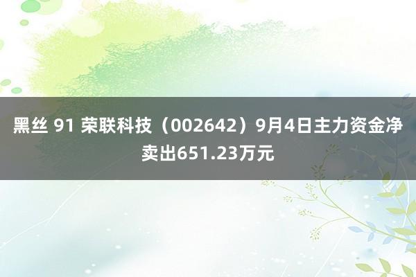 黑丝 91 荣联科技（002642）9月4日主力资金净卖出651.23万元