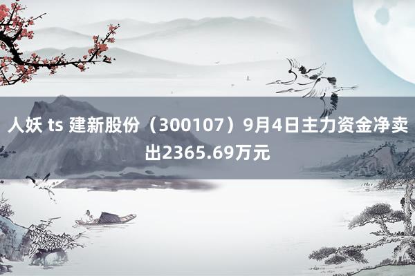 人妖 ts 建新股份（300107）9月4日主力资金净卖出2365.69万元