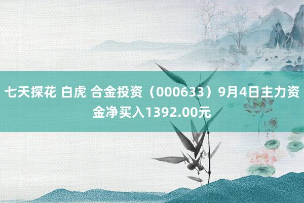 七天探花 白虎 合金投资（000633）9月4日主力资金净买入1392.00元