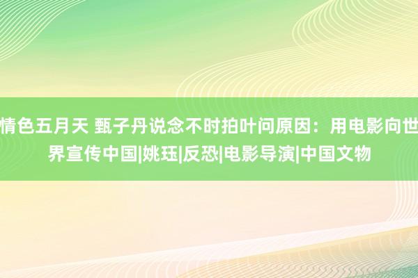 情色五月天 甄子丹说念不时拍叶问原因：用电影向世界宣传中国|姚珏|反恐|电影导演|中国文物