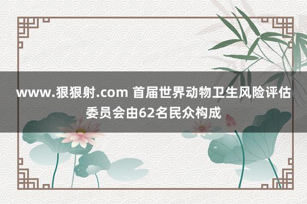 www.狠狠射.com 首届世界动物卫生风险评估委员会由62名民众构成