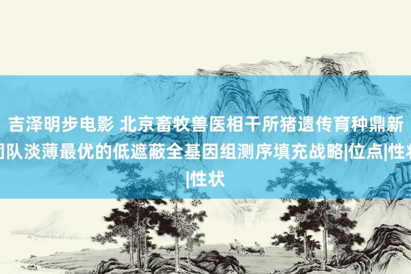 吉泽明步电影 北京畜牧兽医相干所猪遗传育种鼎新团队淡薄最优的低遮蔽全基因组测序填充战略|位点|性状