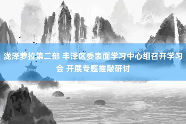 泷泽萝拉第二部 丰泽区委表面学习中心组召开学习会 开展专题推敲研讨