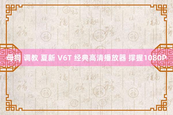 母狗 调教 夏新 V6T 经典高清播放器 撑握1080P